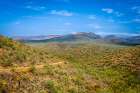 Saguaro cactus and other plants suited for extremely dry conditions typify the Sonoran desert. Art Print